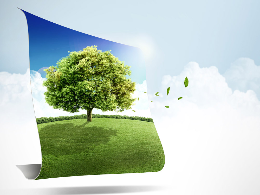 山東省技術改造條例